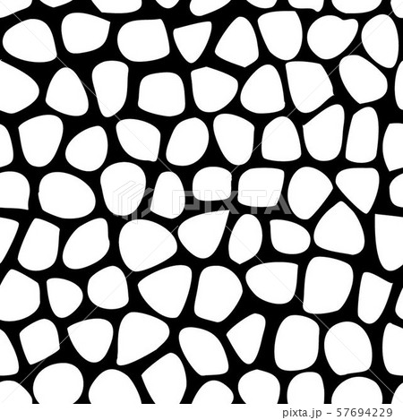 Black and white giraffe skin Black and white giraffe skin 57694229