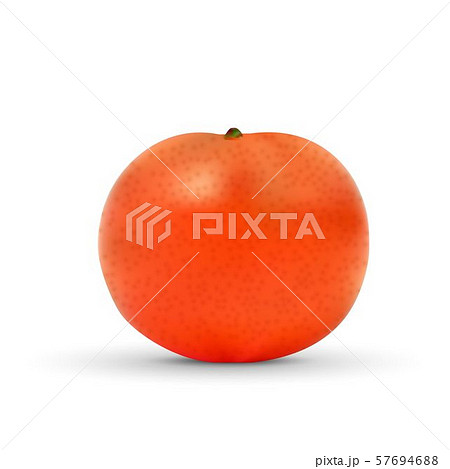 realistic mandarin isolated on white background. realistic mandarin isolated on white background. 57694688