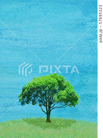 クスノキ 青空 水彩 のイラスト素材 [57695323] - PIXTA