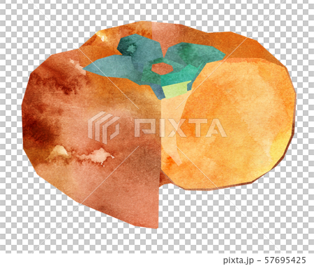 Shaved cross section, no seed Shaved cross section, no seed 57695425