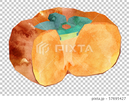 Oyster cross section large, no seed 57695427