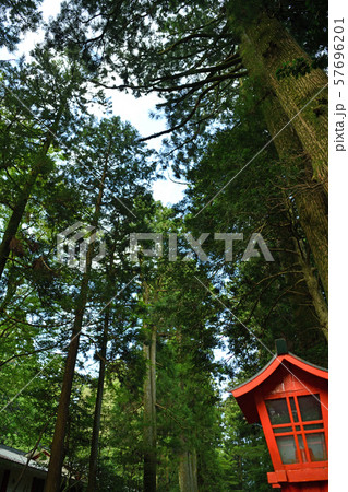 街景色　夏の箱根 57696201