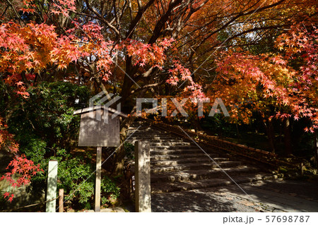 龍安寺の紅葉 57698787
