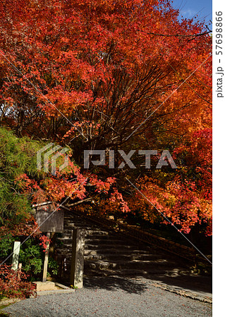 龍安寺の紅葉 龍安寺の紅葉 57698866