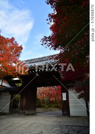 龍安寺の紅葉 龍安寺の紅葉 57698870