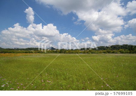 風景 自然 韓国 57699105