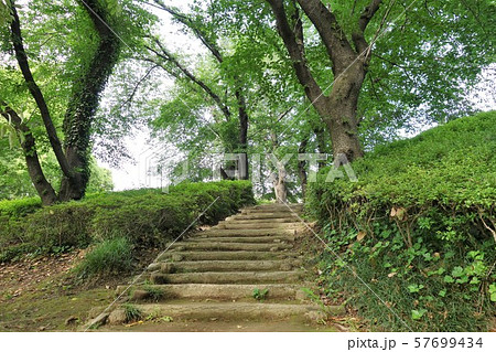 夏の公園 夏の公園 57699434