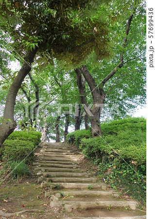 夏の公園 夏の公園 57699436
