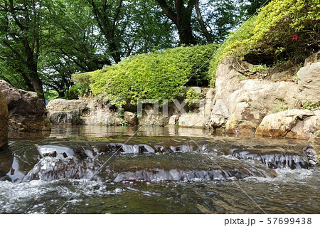 夏の公園 57699438