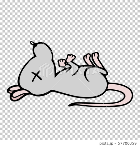 Overturned rat 57700359