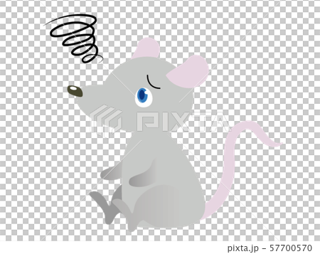 A rat with a troubled face A rat with a troubled face 57700570