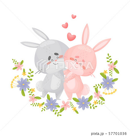 Lovers cartoon hares. Vector illustration on a white background. Lovers cartoon hares. Vector illustration on a white background. 57701036