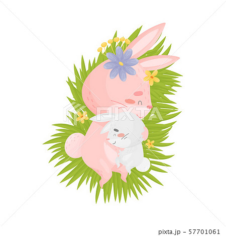 Mom Hare Sleeping With Her Son A Hare Vector のイラスト素材