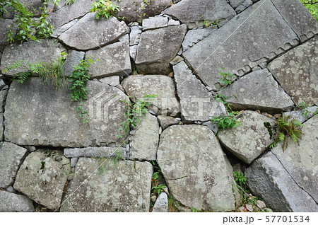盛岡城の石垣（盛岡城跡公園(岩手公園)／岩手県盛岡市内丸1-37） 57701534