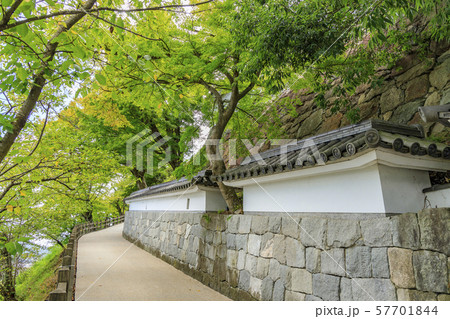 福知山城 福知山城 57701844