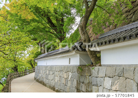 福知山城 福知山城 57701845