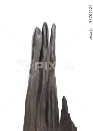 Carved sculpture of bog oak on a white background. Carved sculpture of bog oak on a white background. 57702524