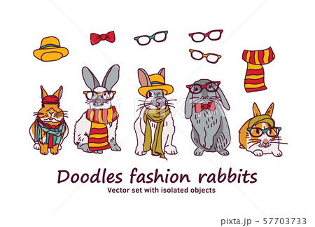 Doodles fashion rabbits pets animals isolated objects Doodles fashion rabbits pets animals isolated objects 57703733