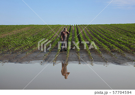 Agricultural scene, farmer in sunflower  field 57704594