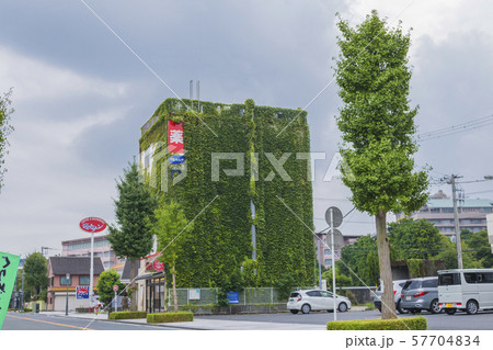 蔦に覆われた建物 57704834
