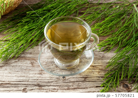 A cup of herbal tea with fresh horsetail plant A cup of herbal tea with fresh horsetail plant 57705821