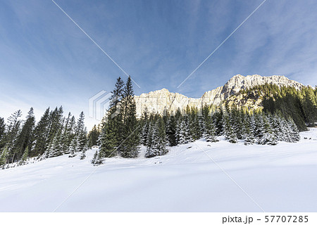 Winter landscape with snowy alps and forest. 57707285