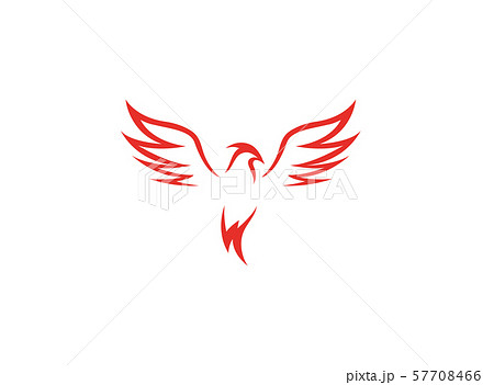 Phoenix flying bird and eagle open wings Logo design Vector illustration on white background 57708466