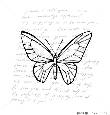 Butterflies silhouettes. Butterfly icons isolated on white background. Graphic illustration Butterflies silhouettes. Butterfly icons isolated on white background. Graphic illustration 57708865