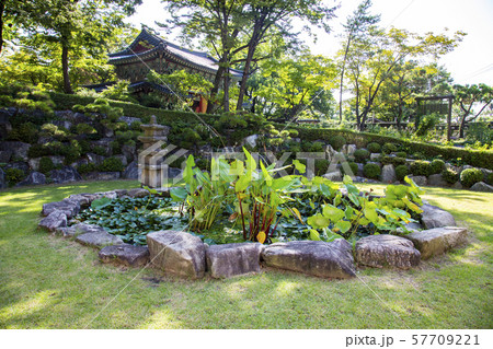 自然 風景 寺院 57709221
