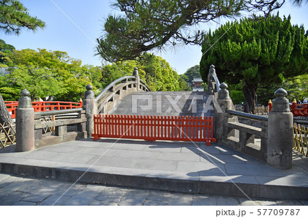 神奈川県鎌倉市雪の下 鶴岡八幡宮 太鼓橋の写真素材