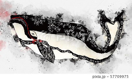 浮世絵 鯨 その1 水彩 浮世絵 鯨 その1 水彩 57709975