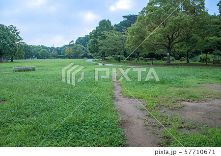 岩槻城址公園　さいたま市 57710671