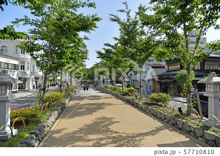 神奈川県鎌倉市 若宮大路 段葛 神奈川県鎌倉市 若宮大路 段葛 57710810