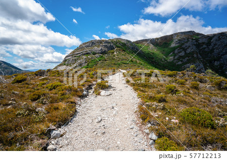 Landscape of Cradle mountain Tasmania, Australia. 57712213
