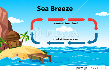Science poster design for sea breeze Science poster design for sea breeze 57712303