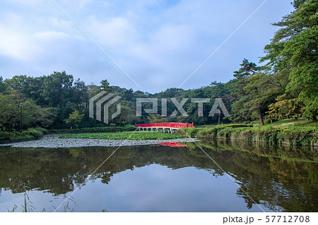 岩槻城址公園　水辺　八ッ橋　さいたま市 57712708