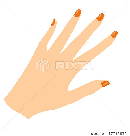 フレンチネイル(褐色肌) フレンチネイル(褐色肌) 57712832