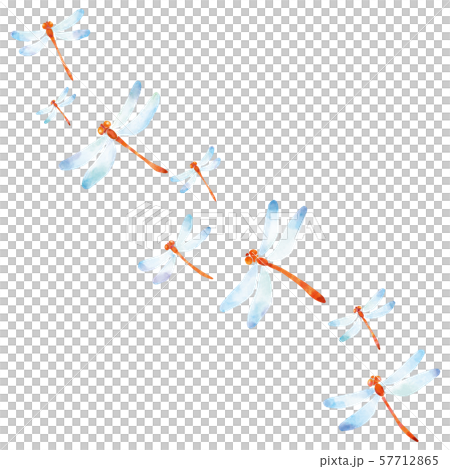 赤トンボ模様 57712865