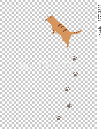 歩くねこのイラスト素材