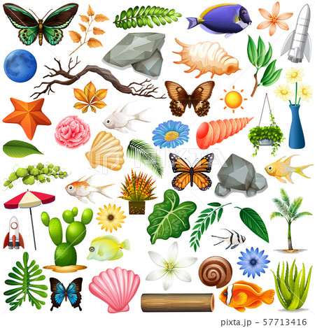 Nature set with insects and plants 57713416