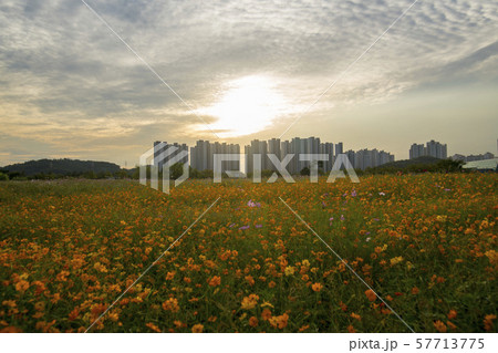 風景 自然 韓国 57713775