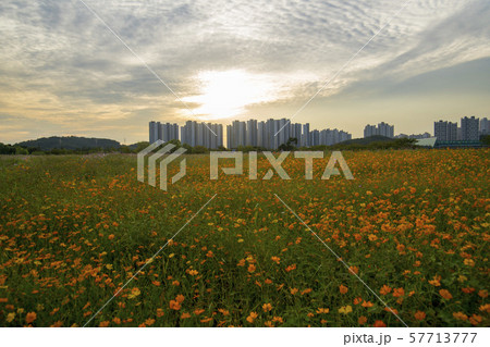 風景 自然 韓国 57713777