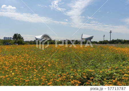 風景 自然 韓国 57713787