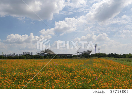 風景 自然 韓国 57713805