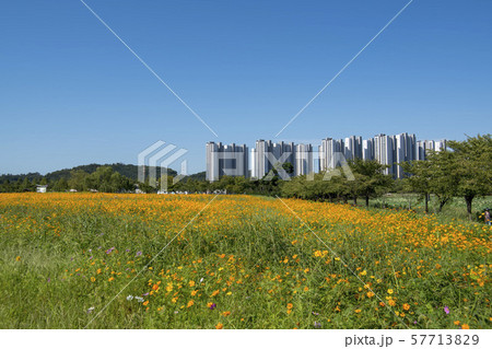 風景 自然 韓国 57713829