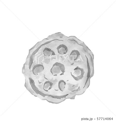 レンコンの天ぷら 墨の手描きイラスト のイラスト素材