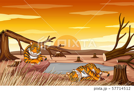 Pollution control scene with tigers and 57714512