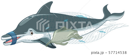 Dolphin covered with net and plastic bags 57714538