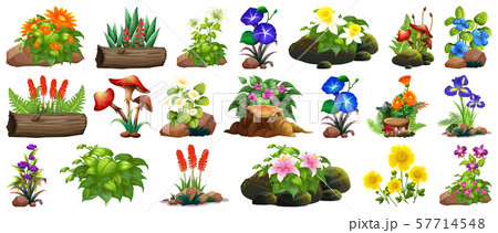 Large set of colorful flowers on rocks and wood 57714548