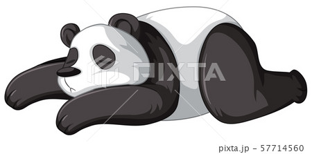 Panda sleeping on white background 57714560